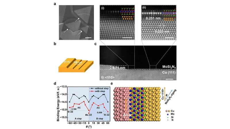 Chinese Scientists Achieve Wafer-Scale Growth of High-Performance P-Type 2D Semiconductor